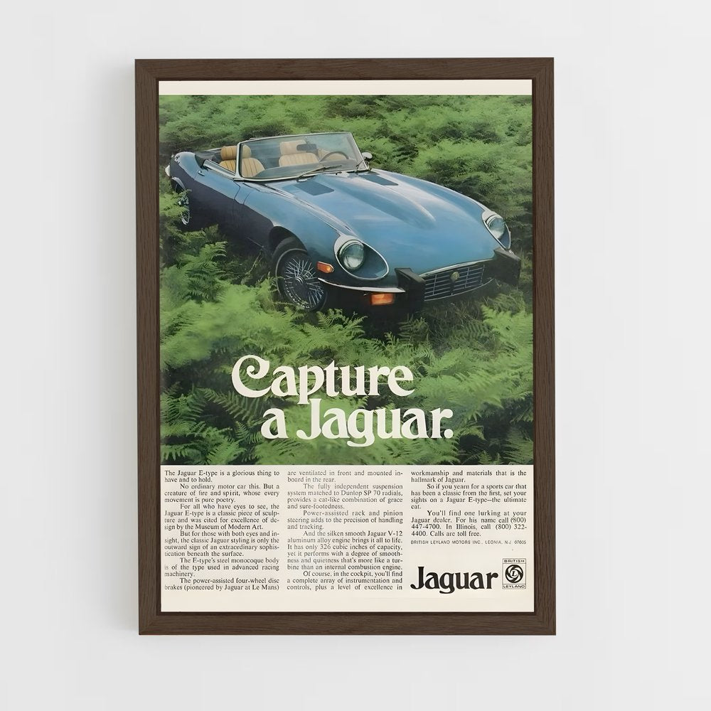 jaguar-3 cadre Bois foncé