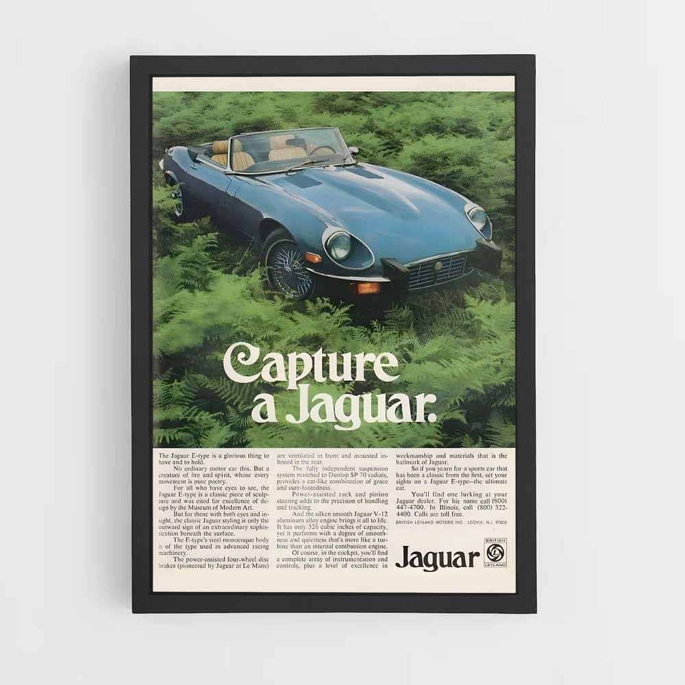 jaguar-3 cadre Noir