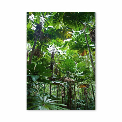 Hoja de la selva Póster