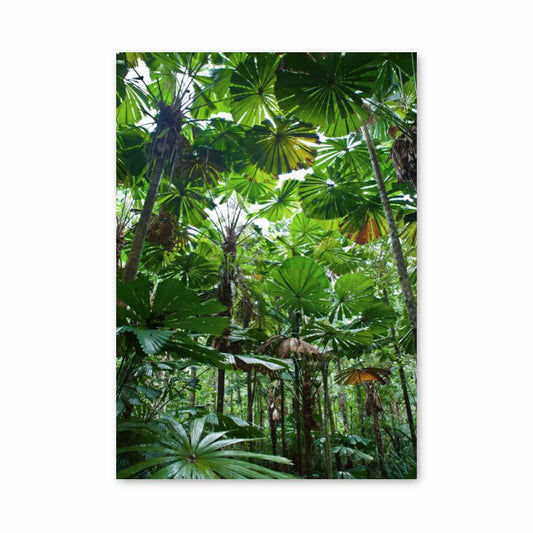 Hoja de la selva Póster