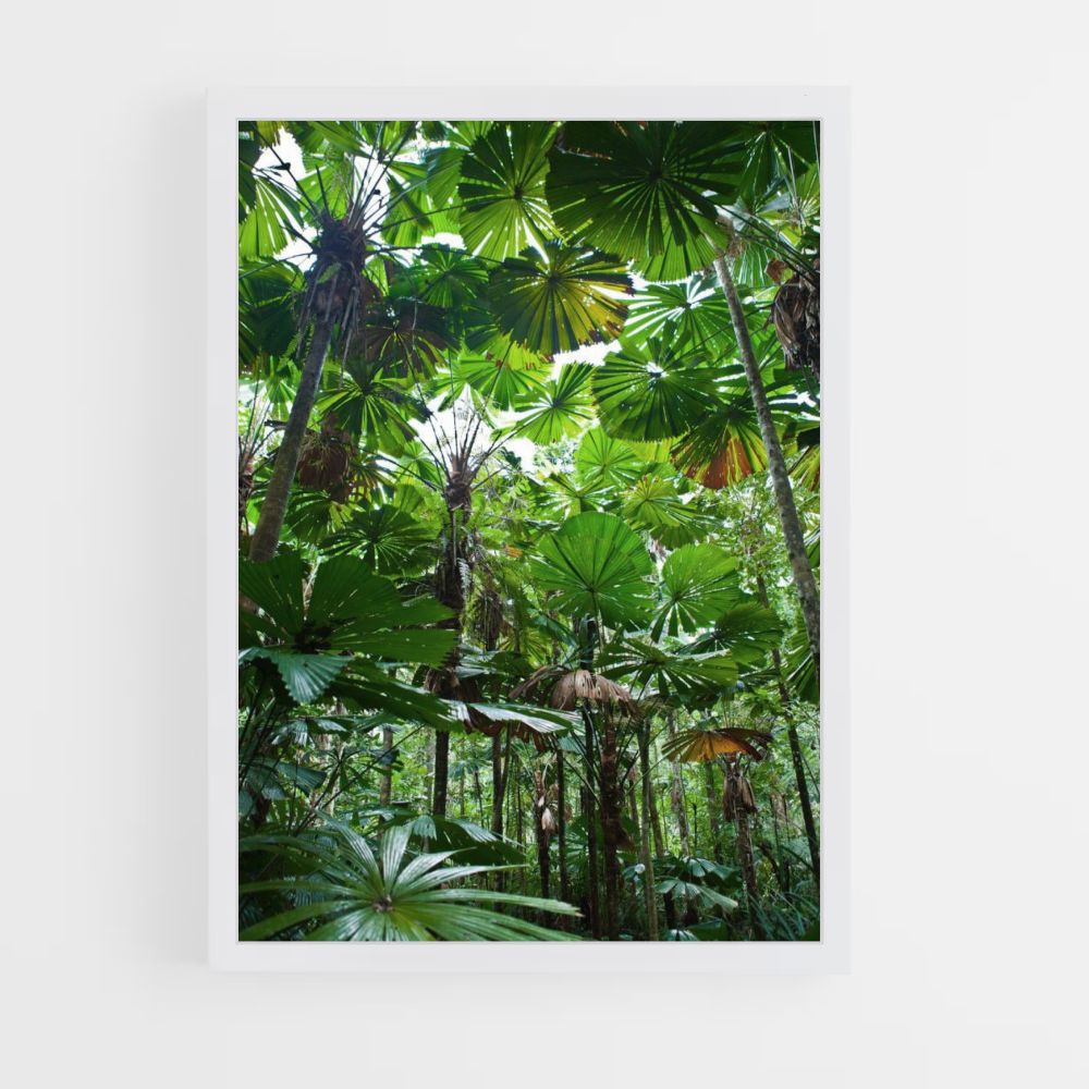 Hoja de la selva Póster