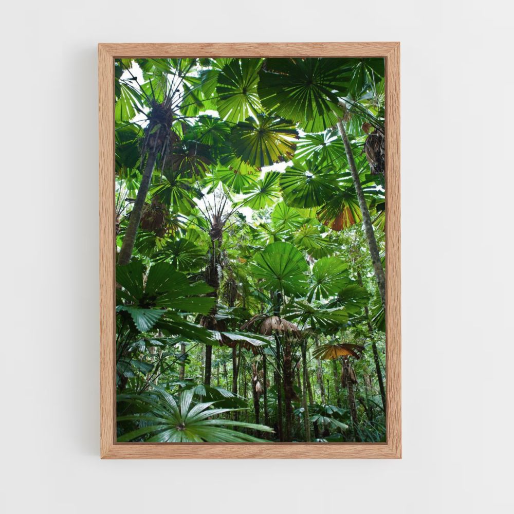 Hoja de la selva Póster