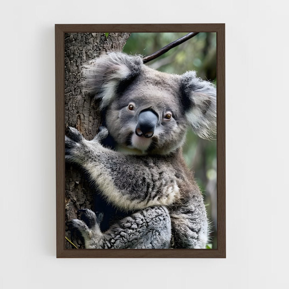 koala-1 cadre Bois foncé