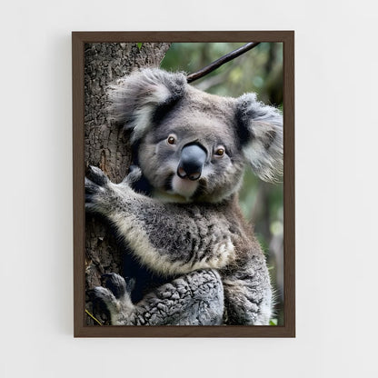 koala-1 cadre Bois foncé