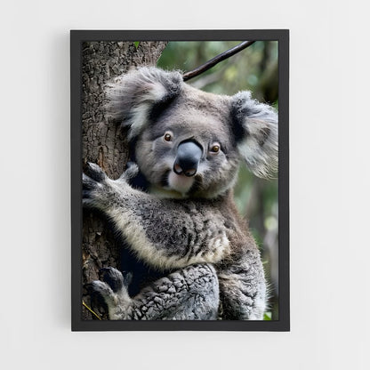 koala-1 cadre Noir
