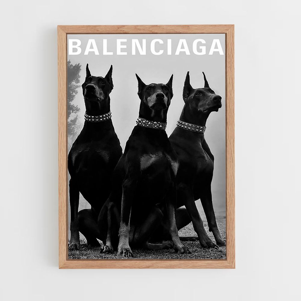 Perro Balenciaga Póster