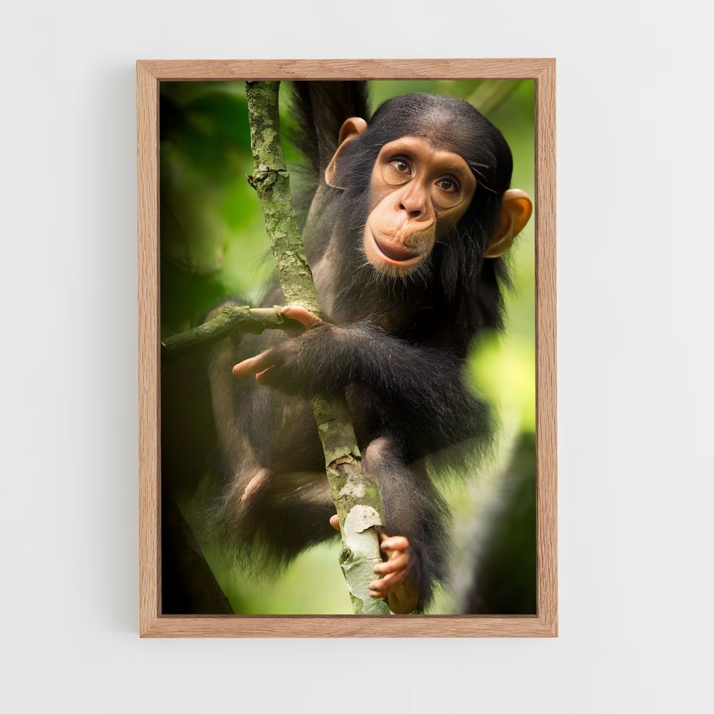 monkey-10 cadre Bois clair