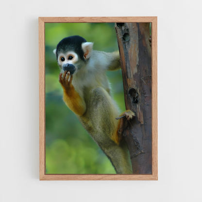 monkey-7 cadre Bois clair