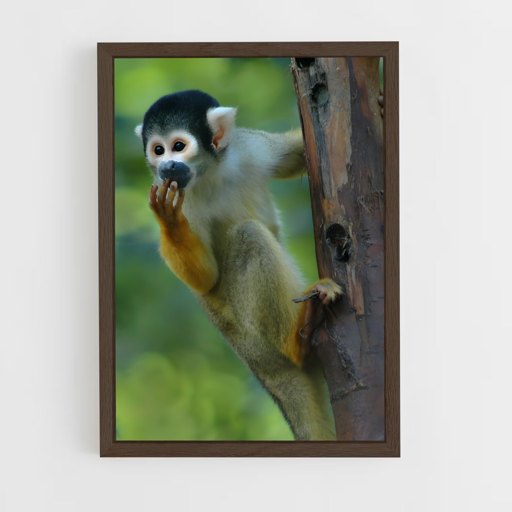 monkey-7 cadre Bois foncé