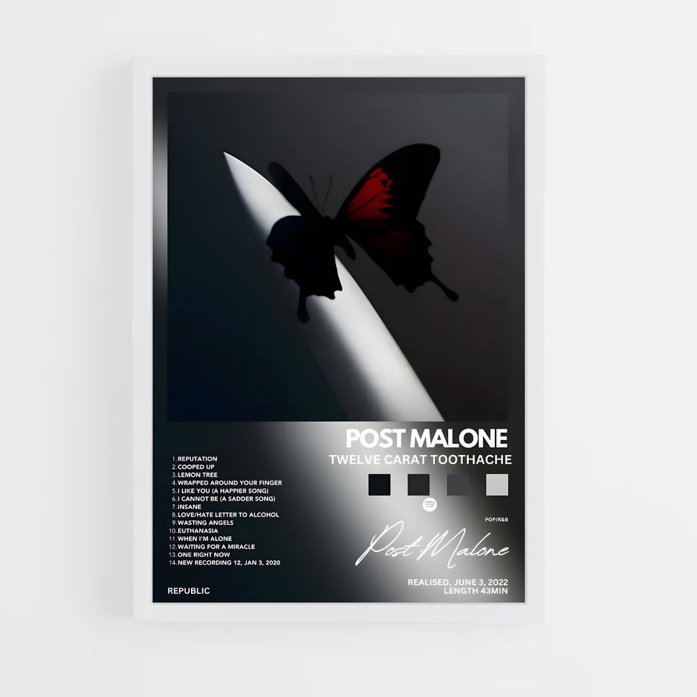 music-albums-21 cadre Blanc