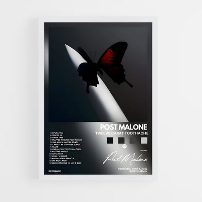 music-albums-21 cadre Blanc