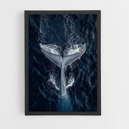 Póster Ballena