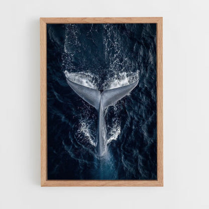 Póster Ballena