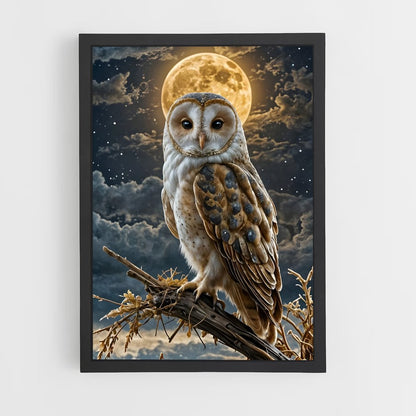 owl-11 cadre Noir