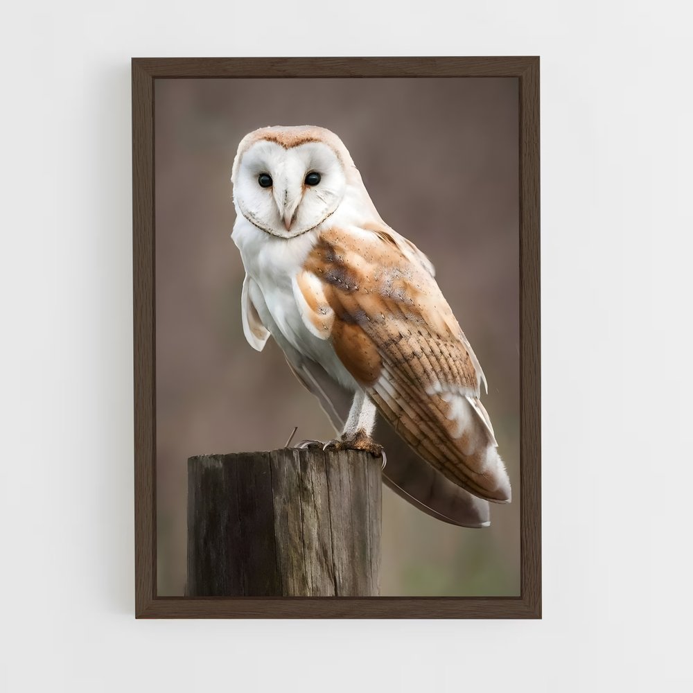 owl-6 cadre Bois foncé