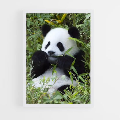 panda-8 cadre Blanc