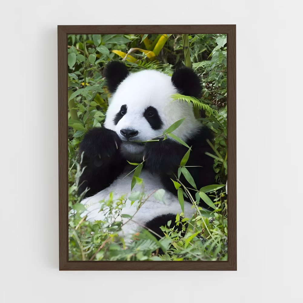 panda-8 cadre Bois foncé