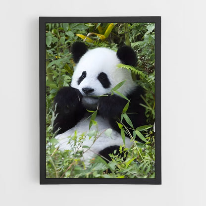 panda-8 cadre Noir