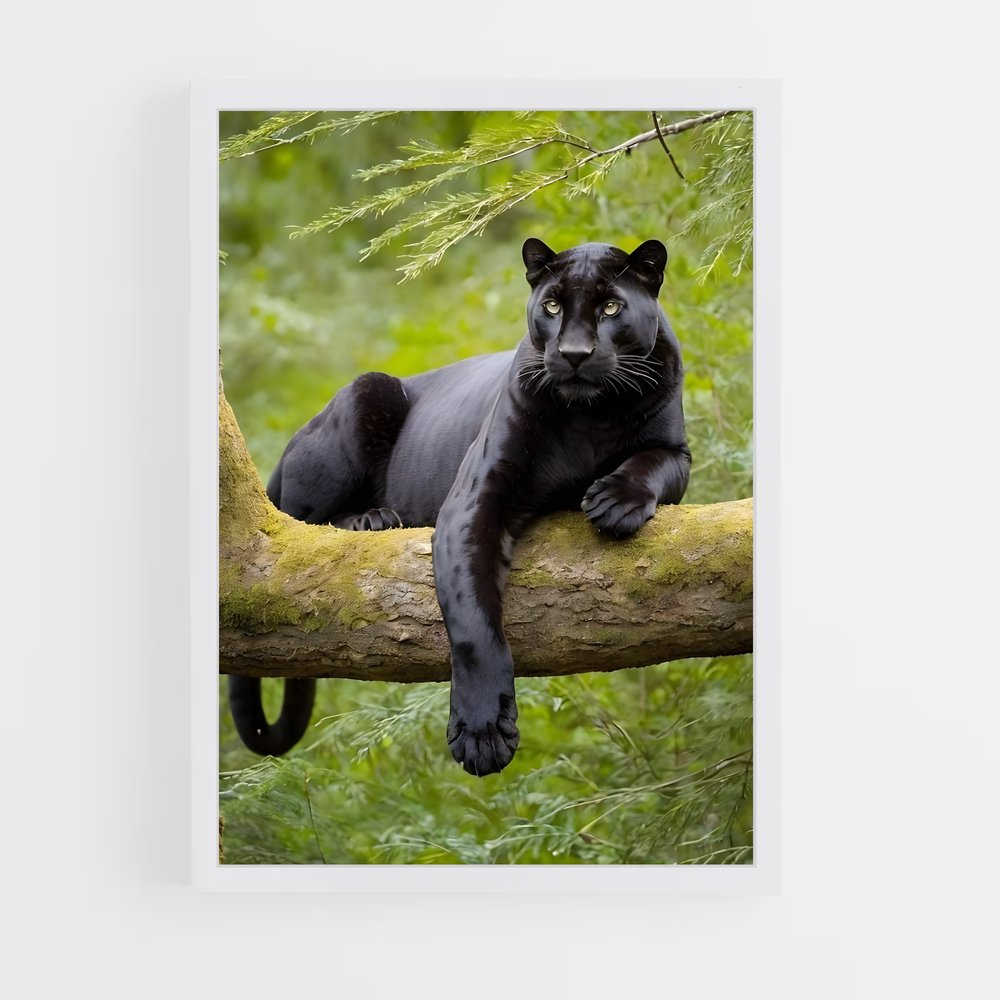panther-1 cadre Blanc