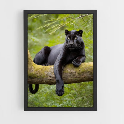 panther-1 cadre Noir