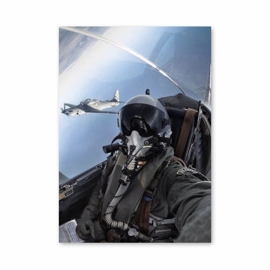 Avión de combate Póster