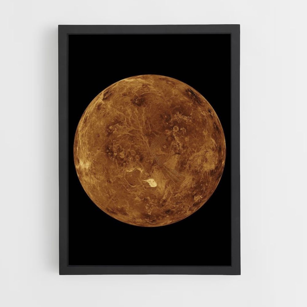 Póster Venus