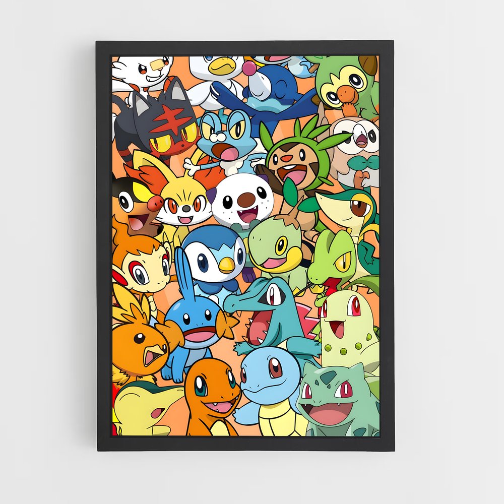 pokemon-9 cadre Noir