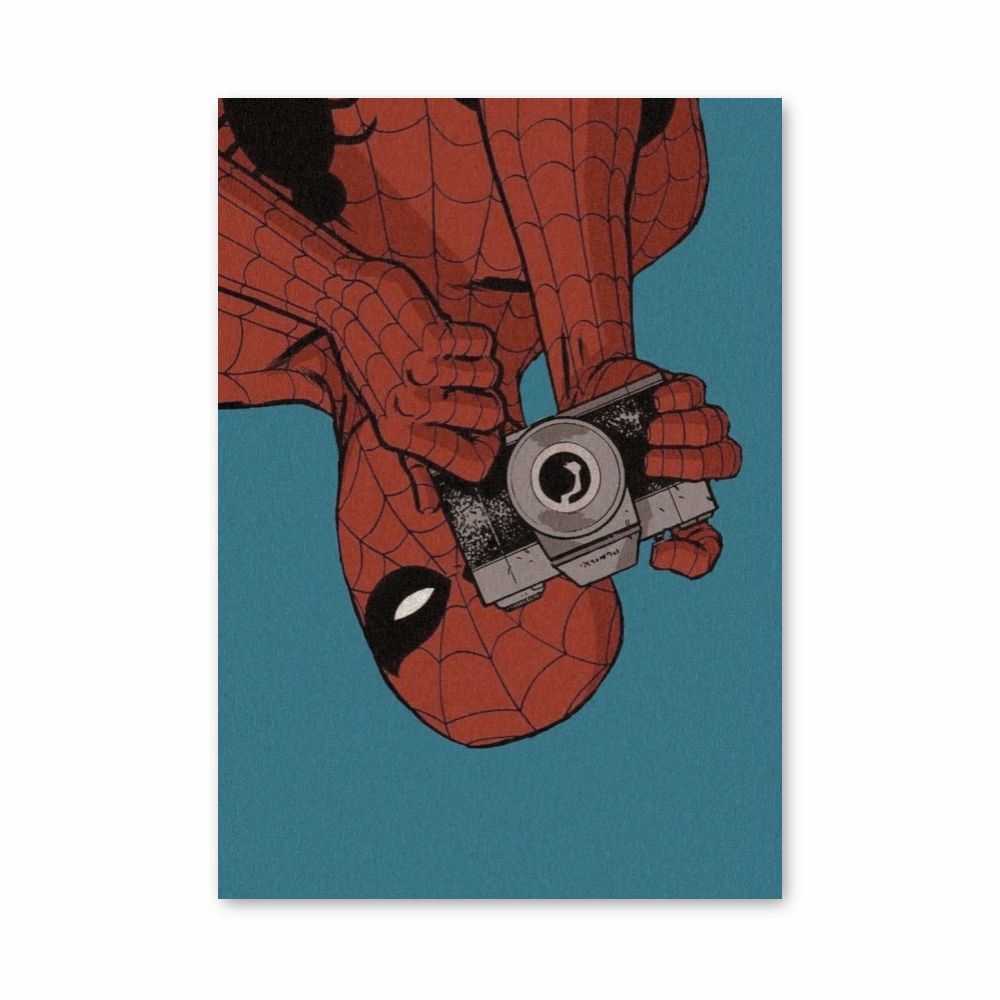 Póster Foto Del Hombre Araña