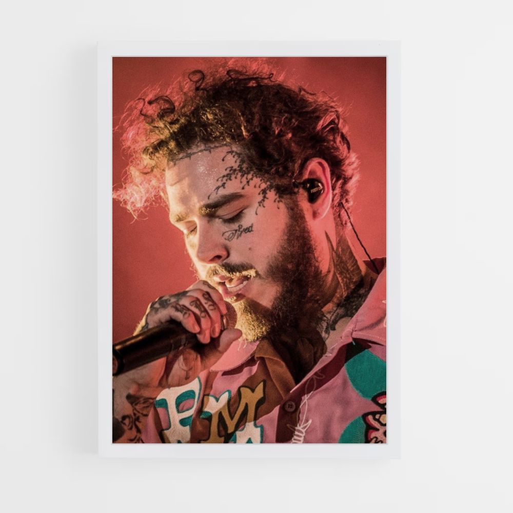 Concierto post malone Póster