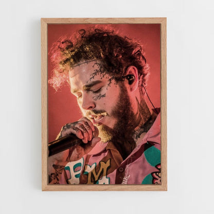 Concierto post malone Póster