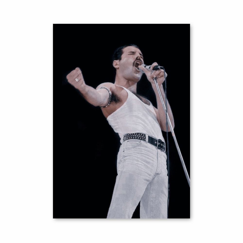 Póster Freddy Mercury canta