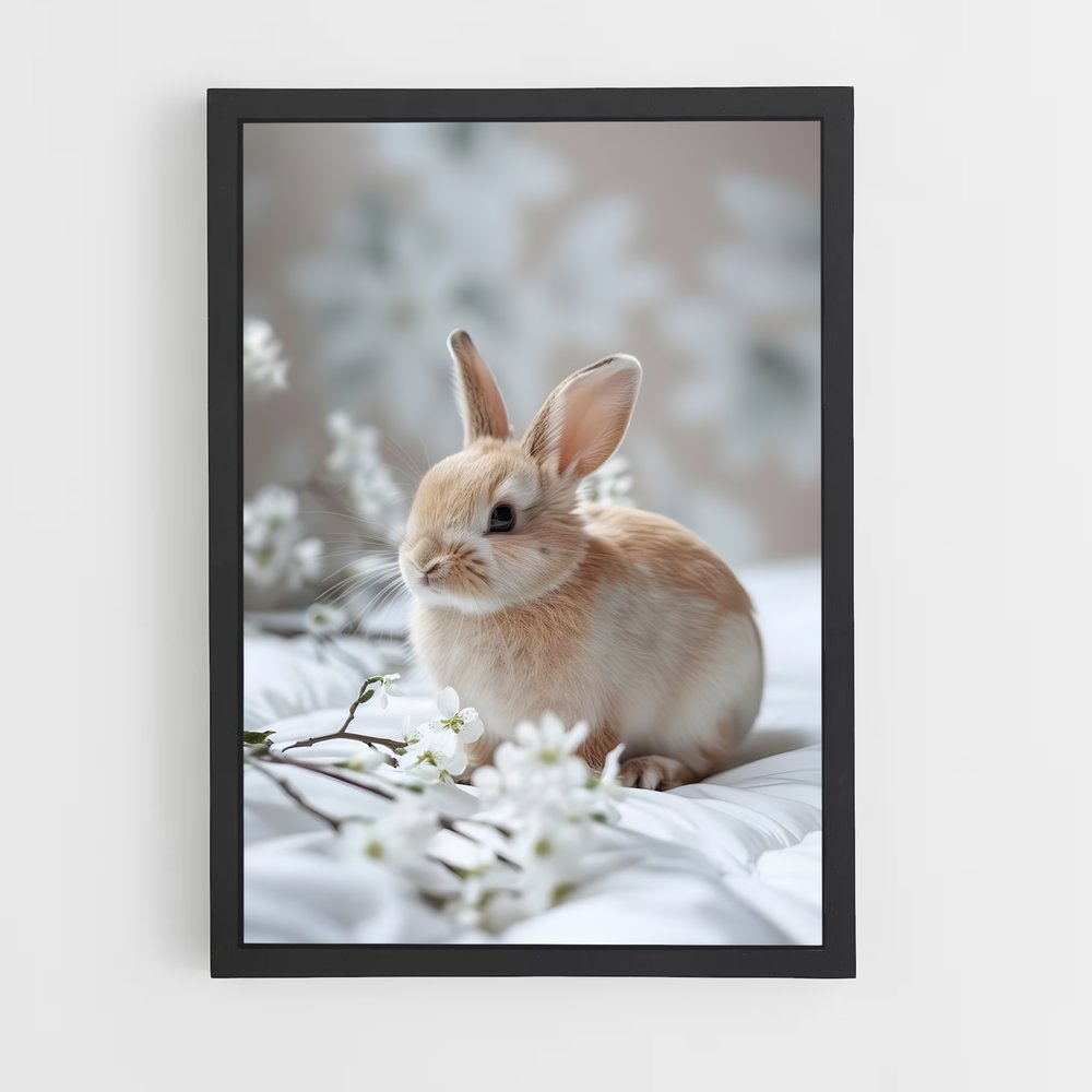 rabbit-1 cadre Noir