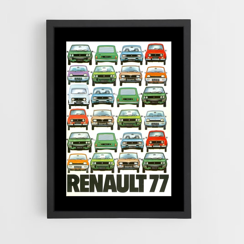 renault-13 cadre Noir
