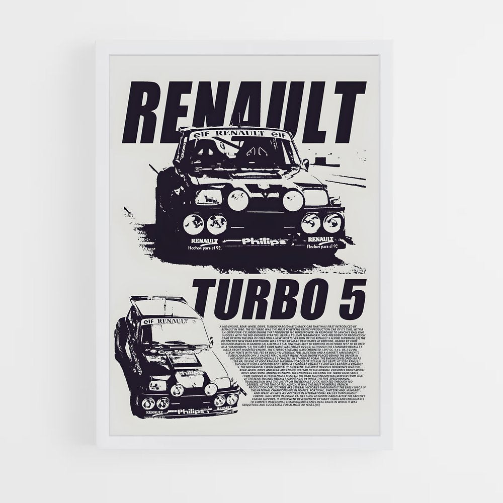 renault-14 cadre Blanc