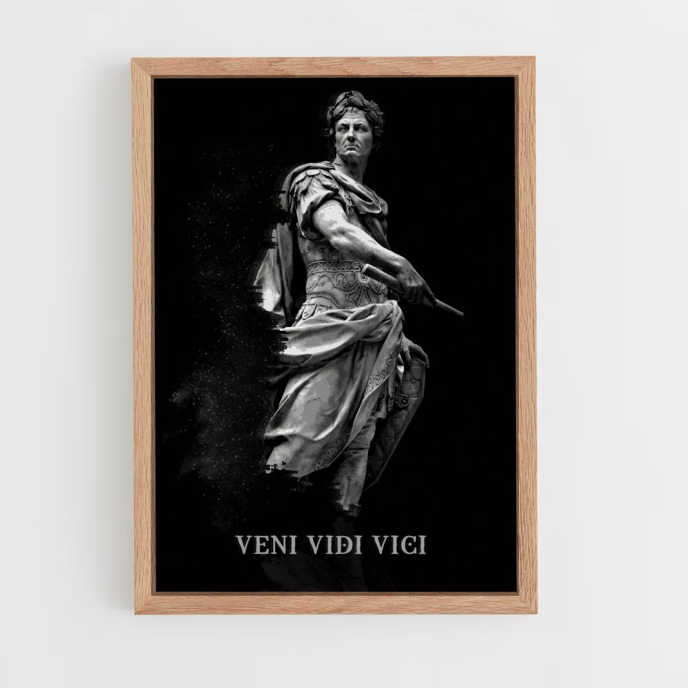 Veni Vidi Vici Póster