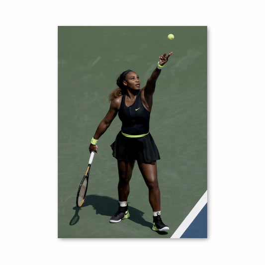 Póster Pelota de tenis Williams