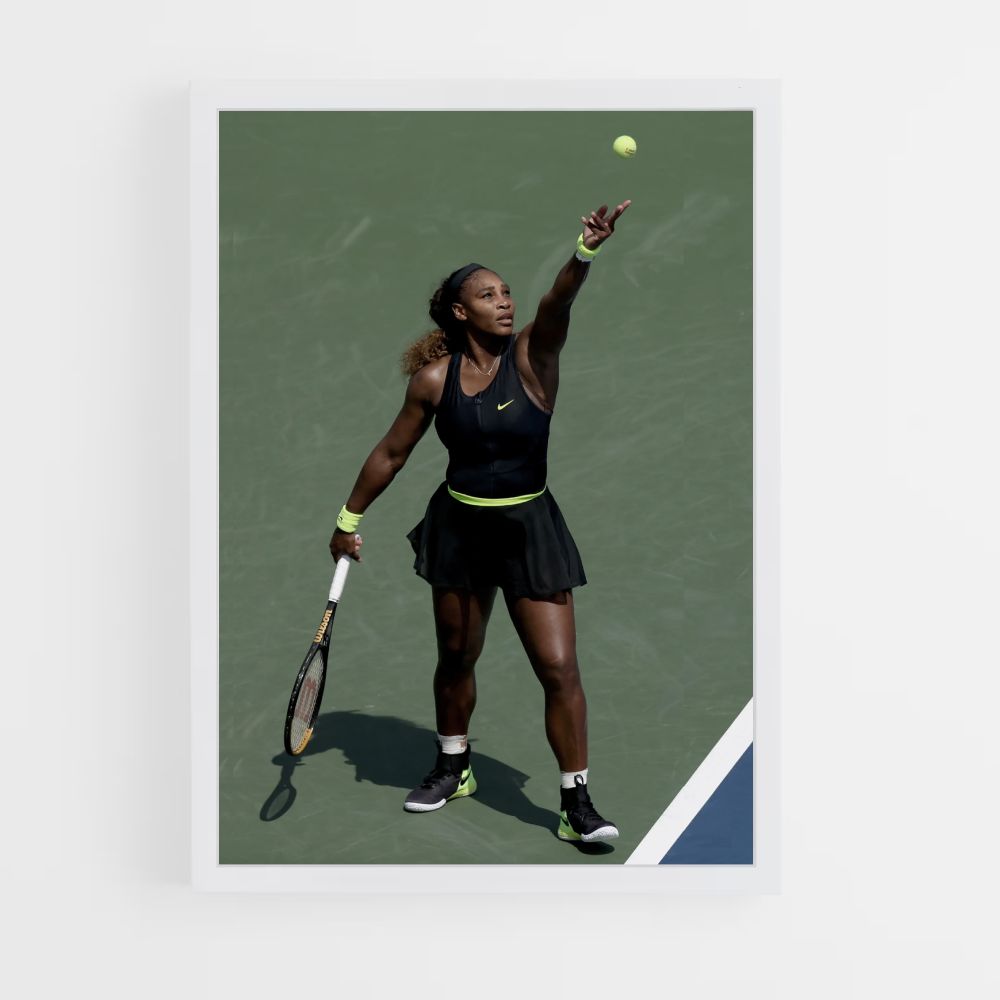 Póster Pelota de tenis Williams