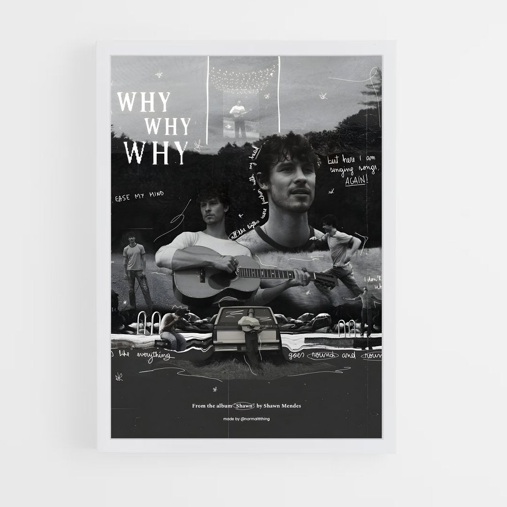 shawn-mendes-3 cadre Blanc