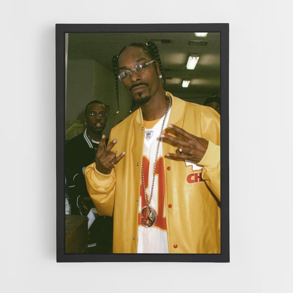 Cartel de Snoop Dogg Póster