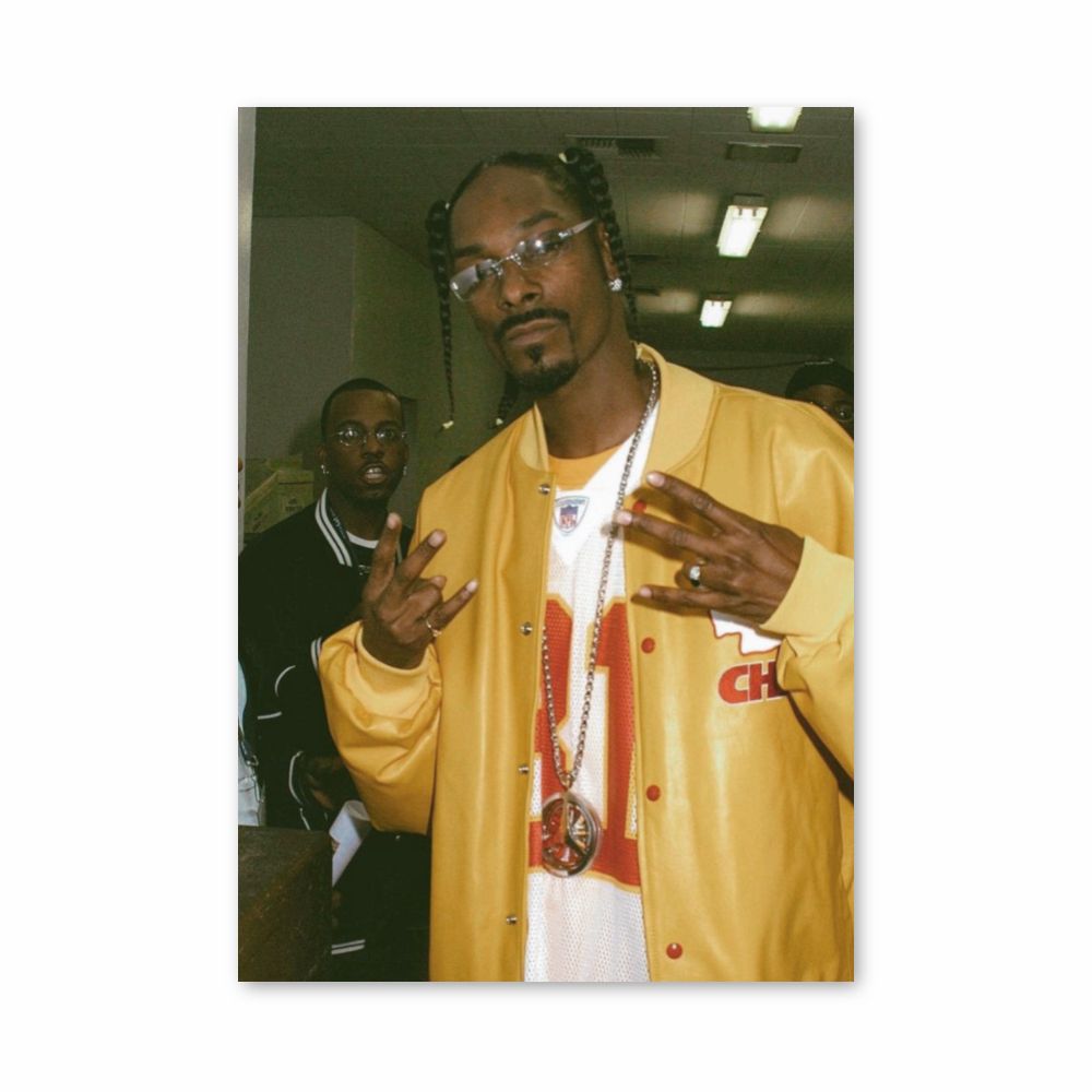 Cartel de Snoop Dogg Póster