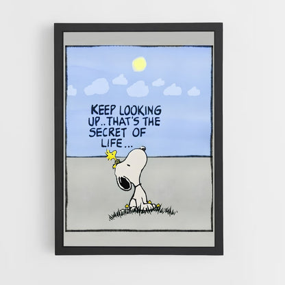 snoopy-13 cadre Noir