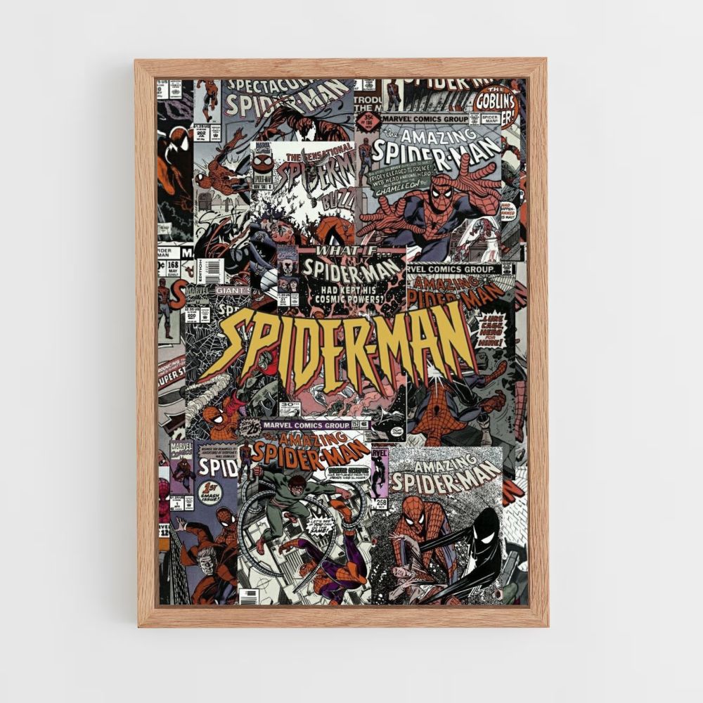 Diario de Spiderman Póster