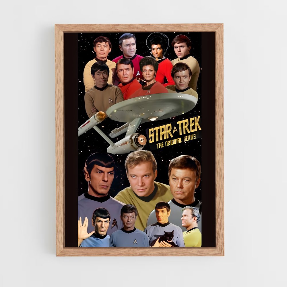star-trek-1 cadre Bois clair