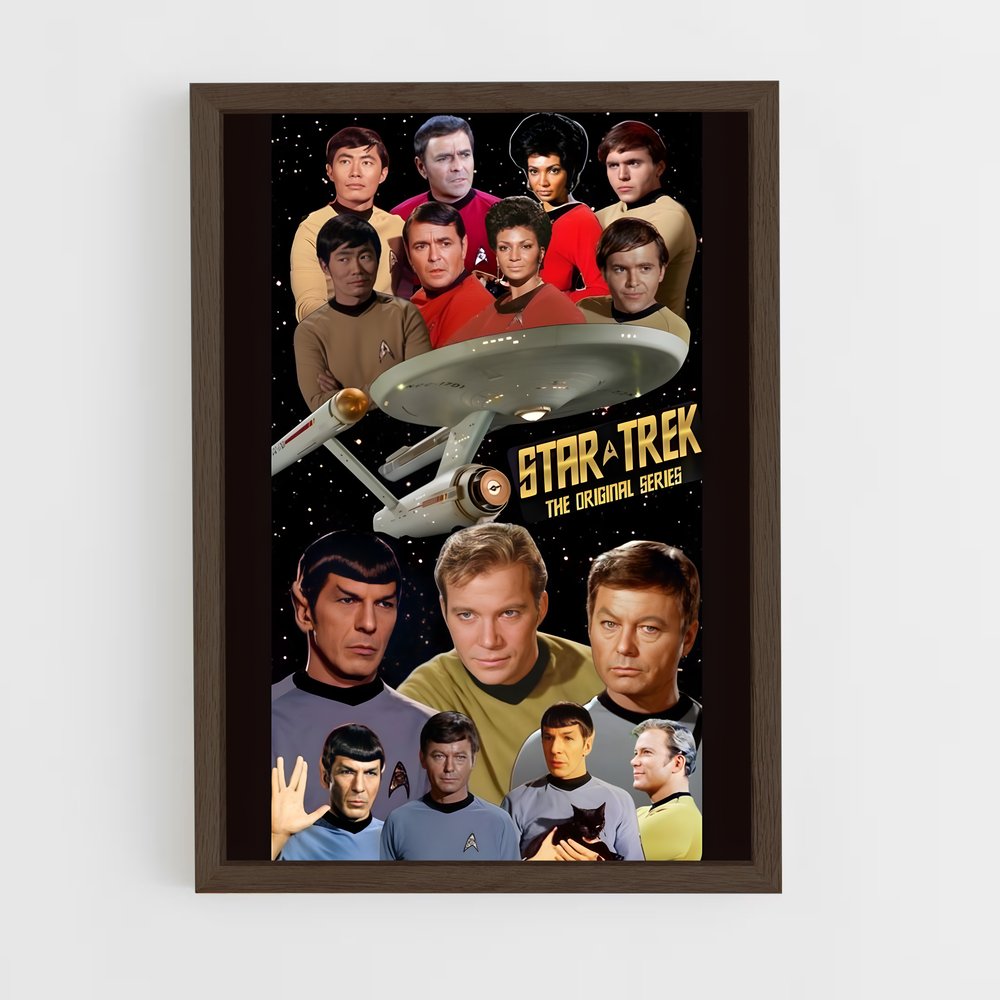star-trek-1 cadre Bois foncé