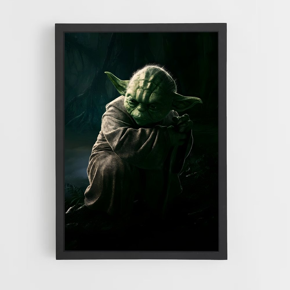 star-wars-10 cadre Noir