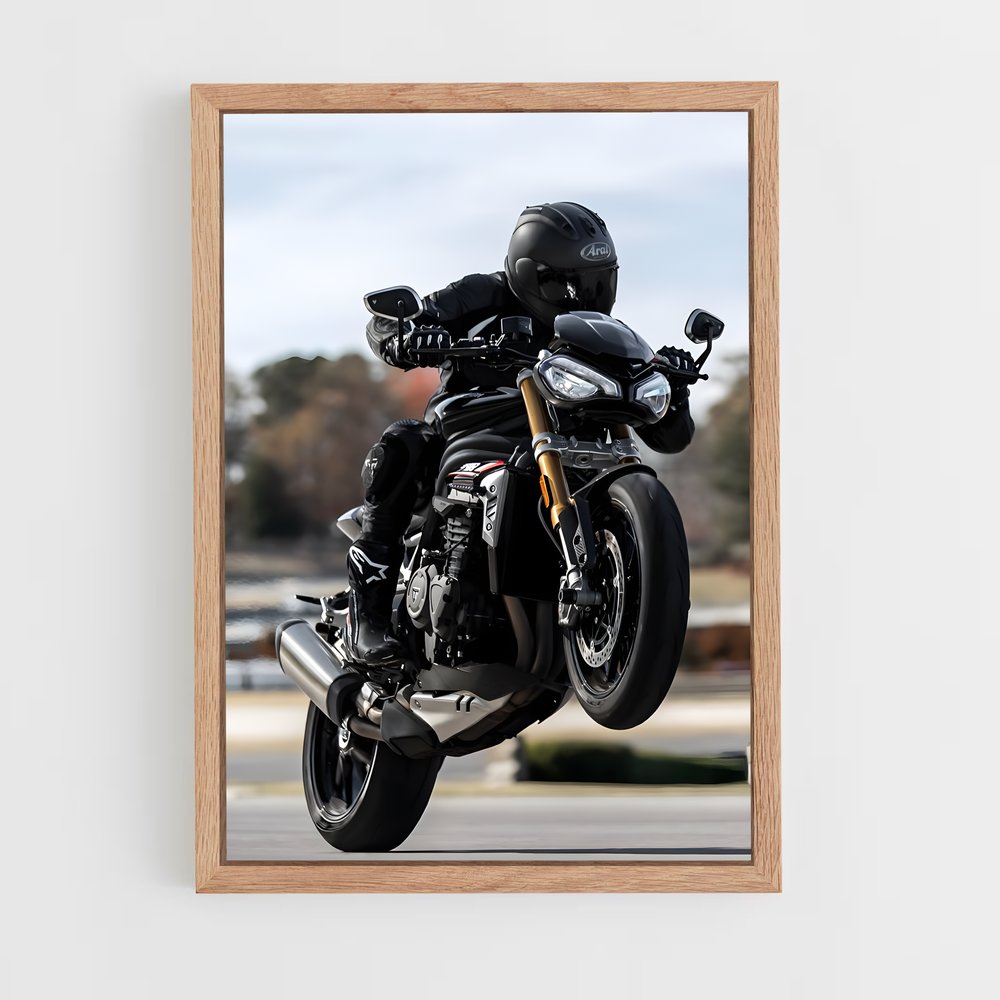 triumph-3 cadre Bois clair