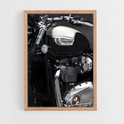 triumph-7 cadre Bois clair
