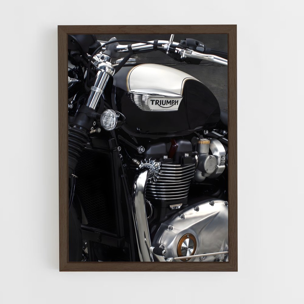triumph-7 cadre Bois foncé