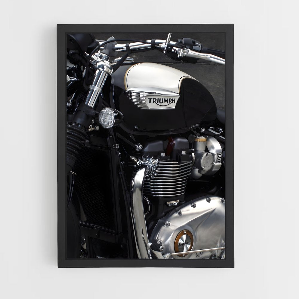 triumph-7 cadre Noir