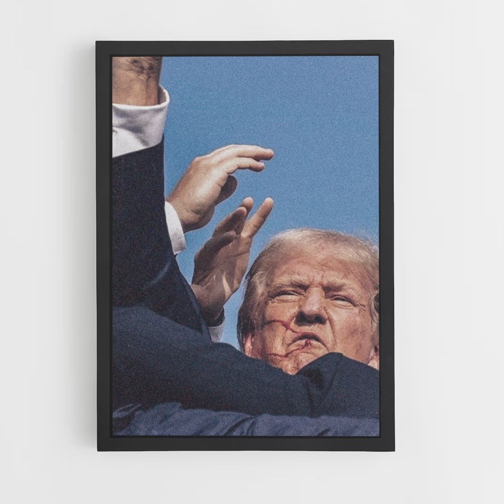 Póster Victoria de Trump